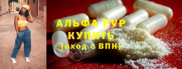 стафф Каменногорск