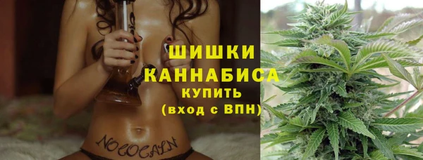 стафф Каменногорск