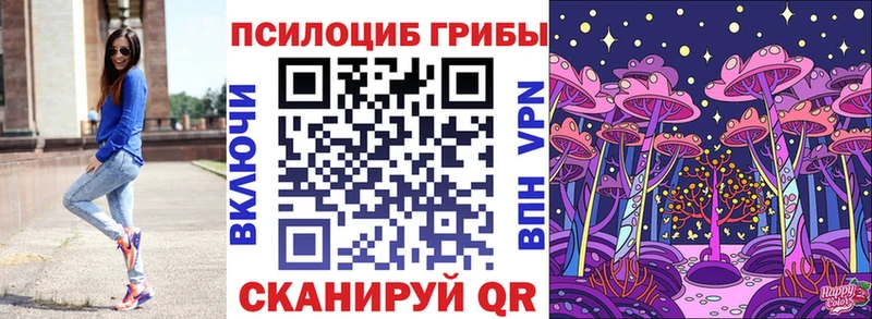 Купить где  Гурьевск  Галлюциногенные грибы прущие грибы 